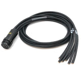 Socapex Break In Bare end 6-circuit 12/3 6'